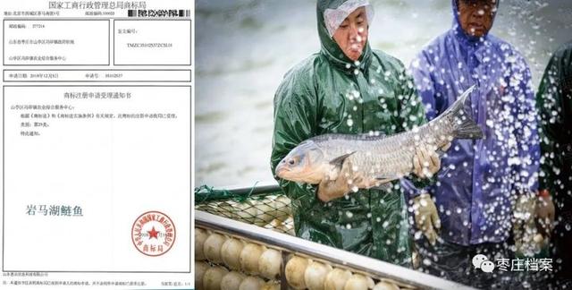 本溪单螺旋洗砂分级机多少钱