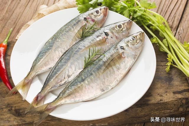 海鱼种类图片及名称,海鱼种类名称图片大全_文秘苑图库
