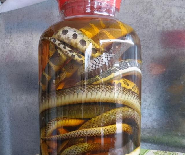 生活中，这些东西不能吃，有剧毒