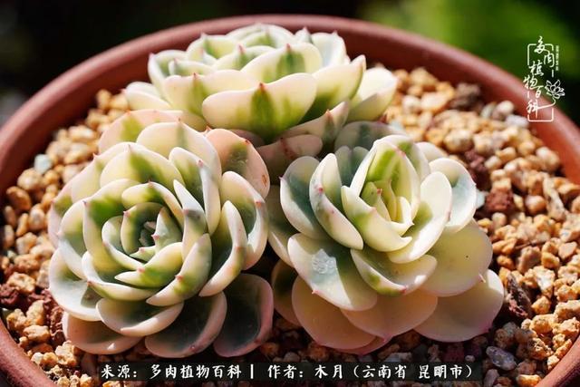 安康石英砂洗砂机厂家电话