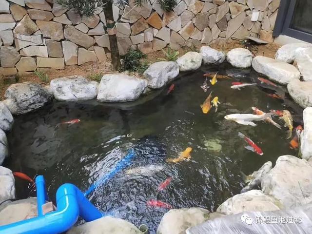 鱼池过滤机怎么用