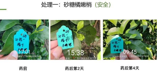 阿维菌素+氟啶胺，杀菌杀螨两不误！在柑橘嫩梢、果实上都能用4