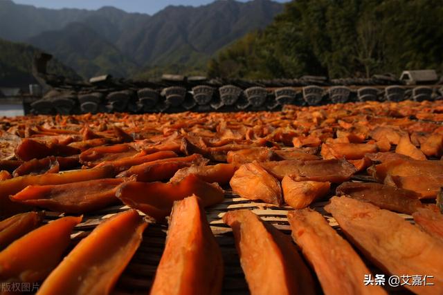 艾嘉仁萝卜红薯等食物晒干后营养翻倍