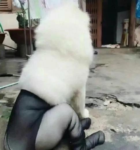 男生购买女生的原味丝袜竟然不犯法！但口味真的很重耶插图18
