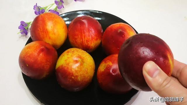 油桃是寒性还是热性(白油桃和黄油桃的区别)