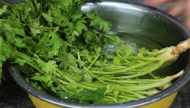 保存香菜有诀窍 今天全教你 不烂叶不发黄 半年都新鲜 真实用 全网搜