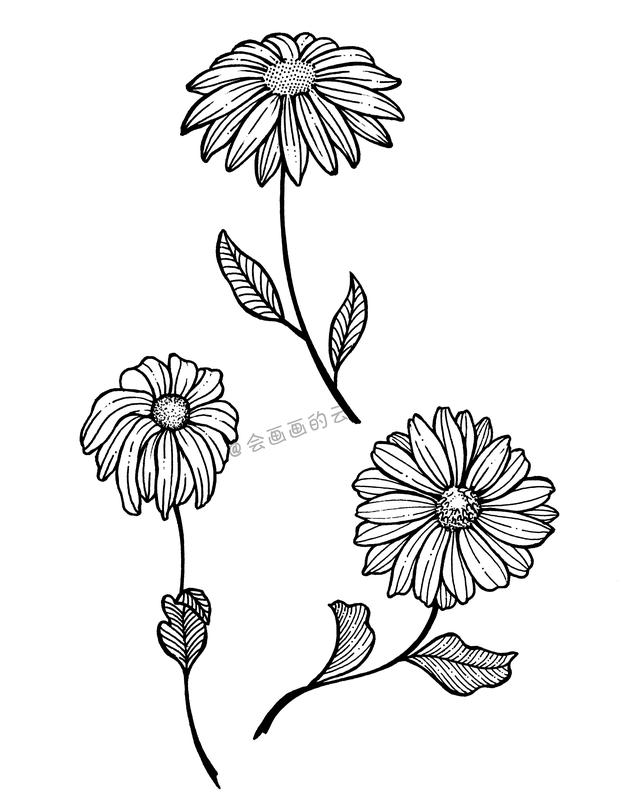 菊花怎么画简单又好看(三款适合零基础画的小雏菊)-桔子edu