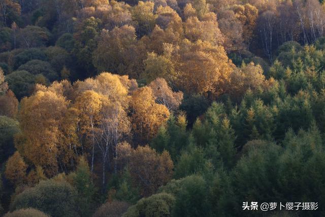 一路向北草原自駕行4：柳樹溝