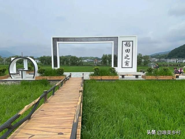 十万亿康养市场迎来大爆发，乡村旅居+田园康养，会是引爆点吗？