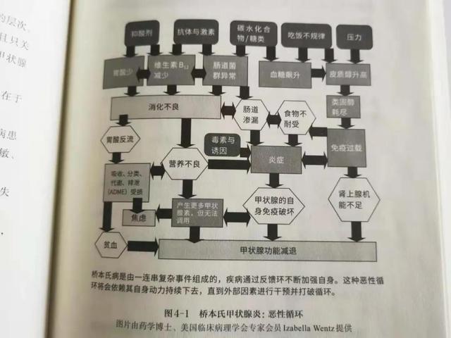 身体寒冷_有时夏天也经常突然发冷_然后起鸡皮疙瘩