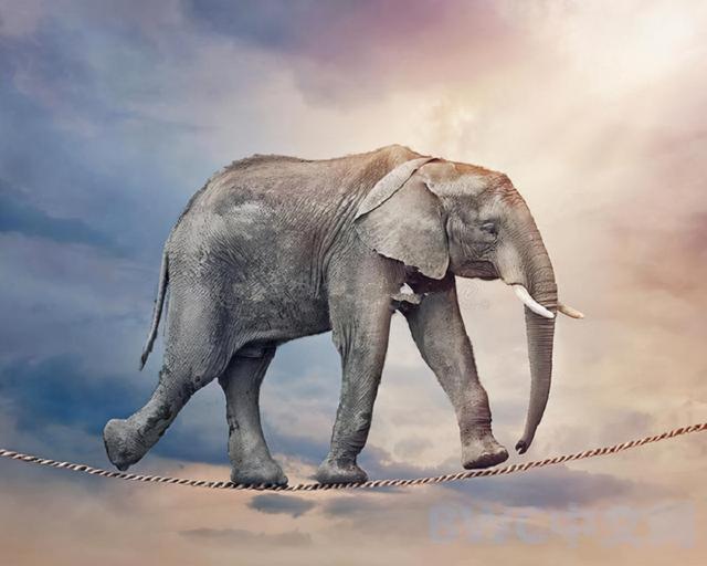 埃塞俄比亚或正押注自己能成为下一个中国，越南似乎将成印度翻版