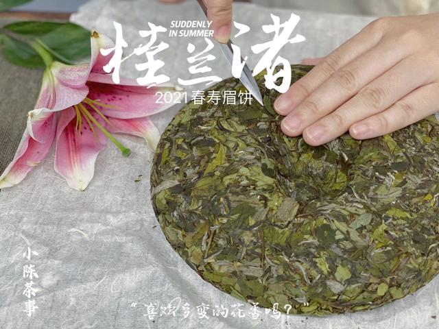 立夏洗砂机