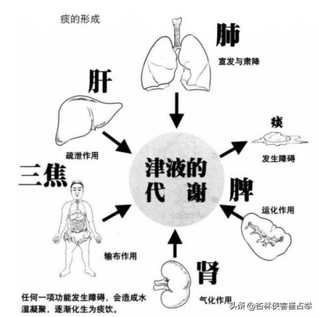 痰在肺则咳，痰在胃则呕！五种痰证的表现和治疗你知道多少？