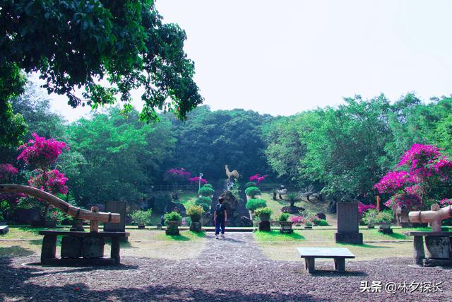 五指山全自动过滤机