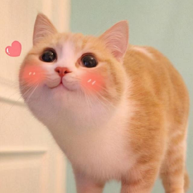 脱毛仪能永久去毛吗（永久脱毛多少钱）