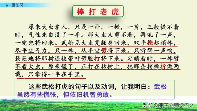 梢棒是什么意思