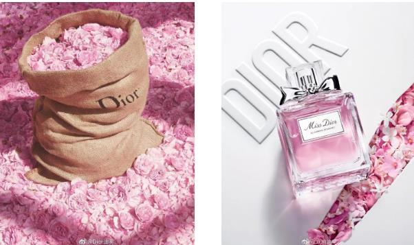 古驰罪爱身体乳有效期是