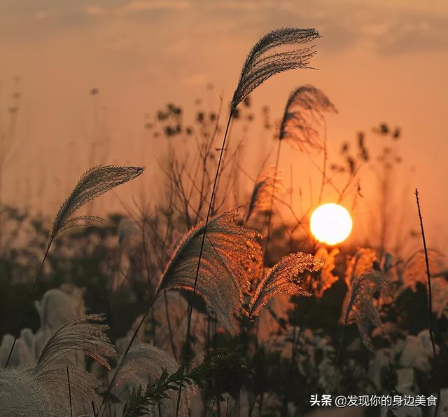 不赌天意，不猜人心，顺其自然，随遇而安