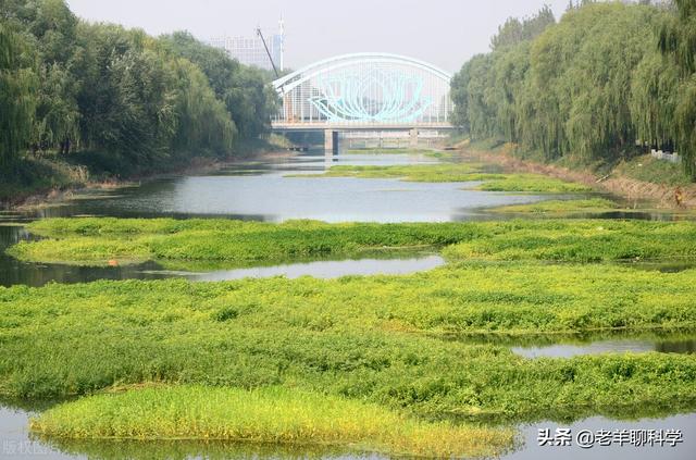 细胞破碎机维修
