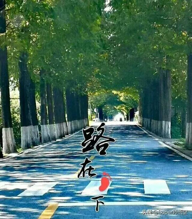 项目工程部3年发展规划