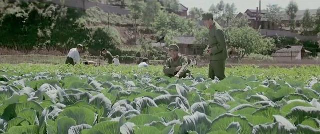 保山沙场洗砂机厂家