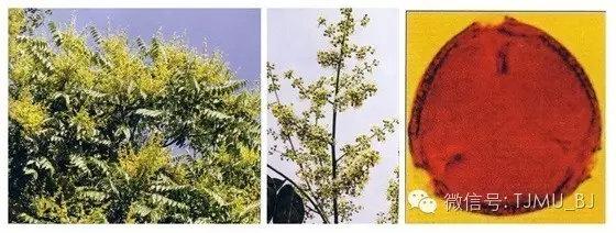 徐州全自动陶瓷过滤机厂家