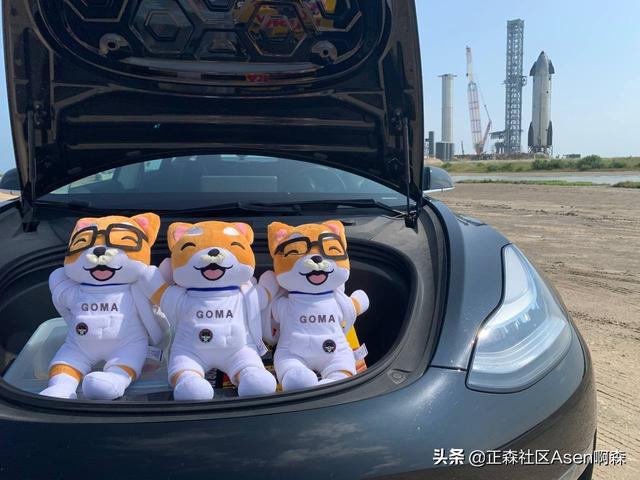 继SHIB之后，GOMA能否扛起MEME类代币的大旗