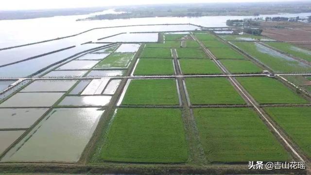 基金项目：中国稻鱼综合种养的发展与展望