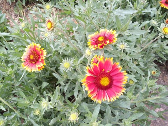 老年人生活有规律，对保障身体健康十分重要