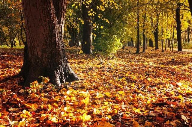 联想问题是大是小？