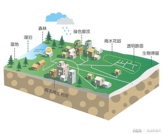 筒式真空过滤机厂家