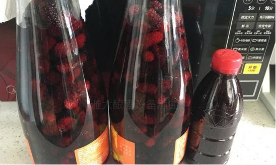 江西省梅子酒过滤机_江西精密过滤机