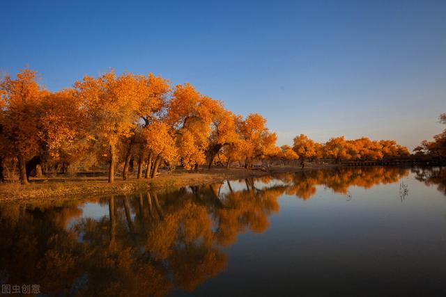 在基础教育领域里，是否真的能够遵从儿童的天性