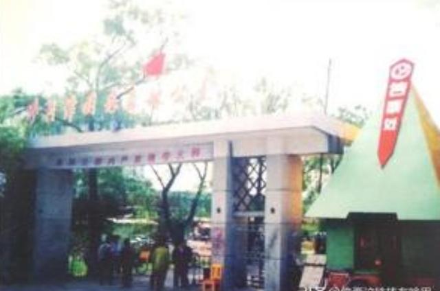 2017长春纸箱机械展