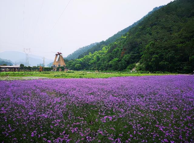 金华有什么好玩的地方旅游景点