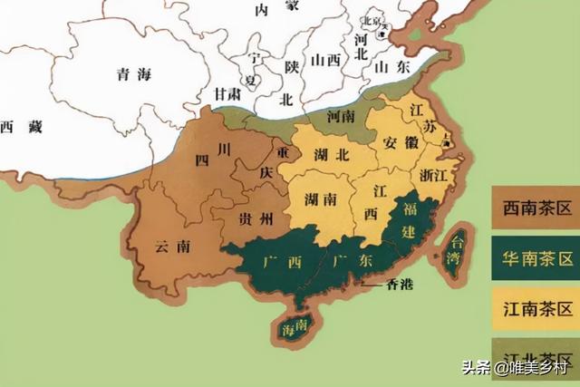 余姚瀑布仙茗