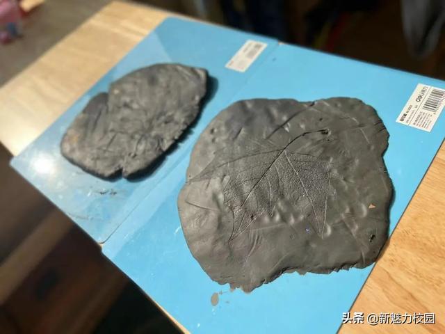 「班级风采」落叶知秋