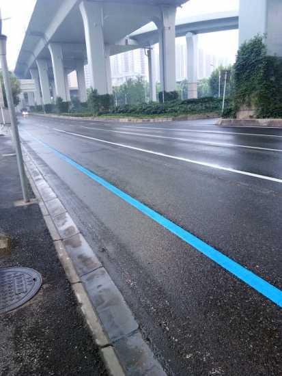 蓝色线代表什么(蓝色线代表什么线)