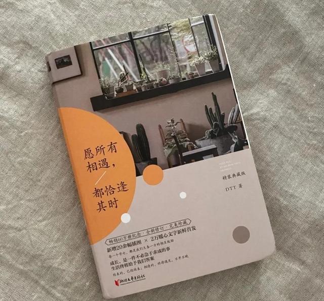 《愿所有相遇，都恰逢其时》治愈系“永怀善意，向阳而生”