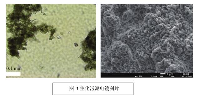 板框过滤机出来的泥含水率