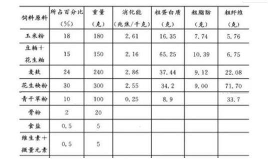 家兔养殖用什么饲料最好？才可以让他吃胖？该怎么去制作？2