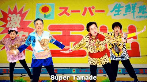 主妇录音全文阅读(绝望的主妇录音)