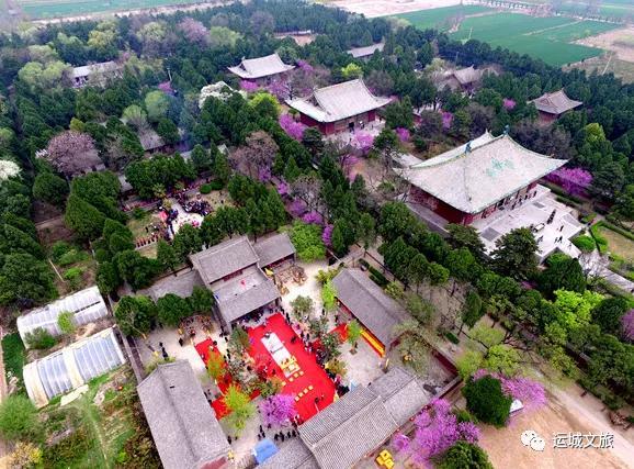 中条是什么意思是什么生肖
