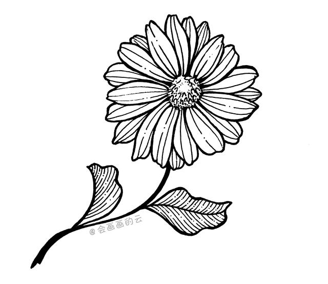 菊花怎么画简单又好看(三款适合零基础画的小雏菊)