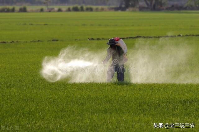 农药这样用，杀虫杀菌效果最好，牢记6点，药到病虫净，增产增收5