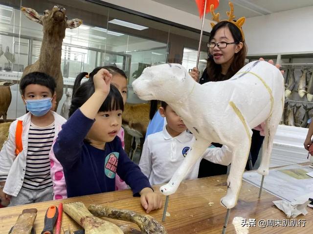 亲子打卡！科学探索，细菌好有趣啊，参观1000+件标本