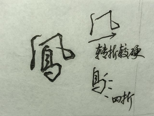 鸟的笔顺怎么写