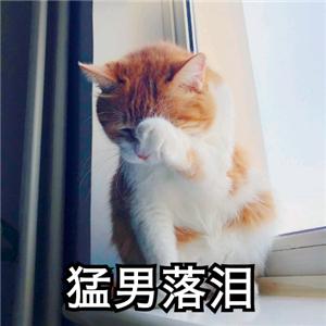 [苹果金钱豹共享位置]，怎么知道微信被对方删除后又拉黑