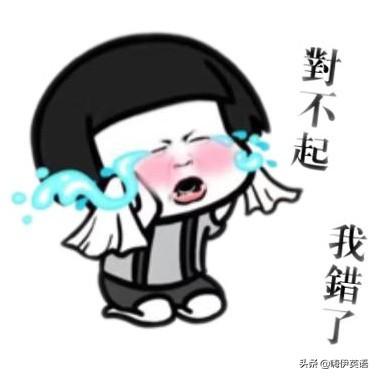 apologize是什么意思 apologize是什么意思（apologize是什么意思英语） 生活