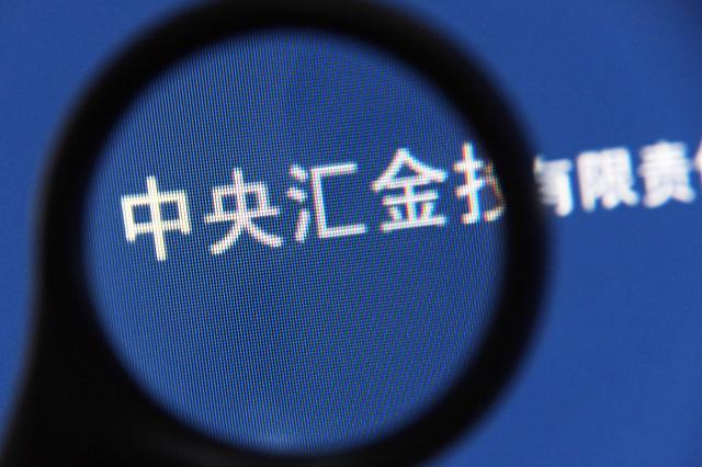 这里面大家最熟悉的当属中央汇金投资有限责任公司,这也是中投旗下